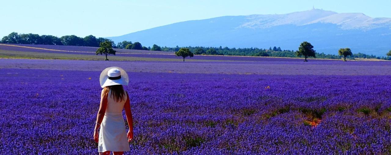 Le Vieux Pont Villa Carpentras Dış mekan fotoğraf