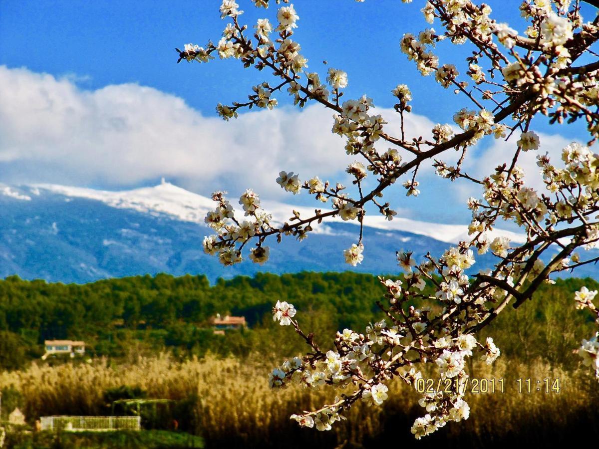 Le Vieux Pont Villa Carpentras Dış mekan fotoğraf